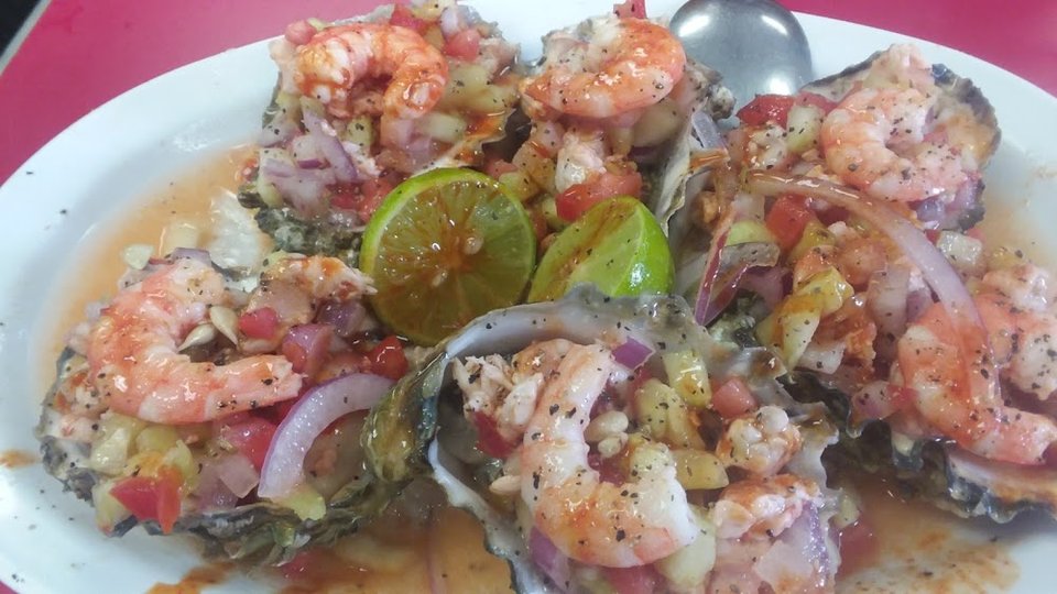 Oysters